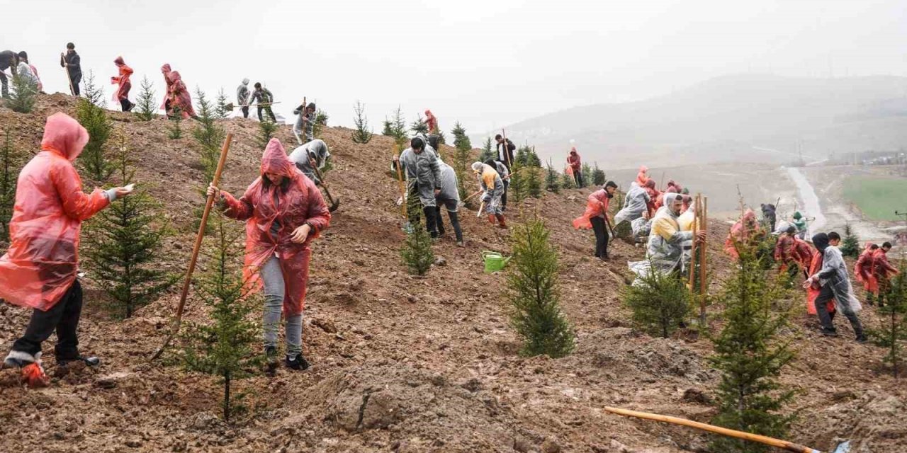 6 Şubat 2023 Deprem Şehitleri Hatıra Ormanı’nda 435 fidan toprakla buluştu
