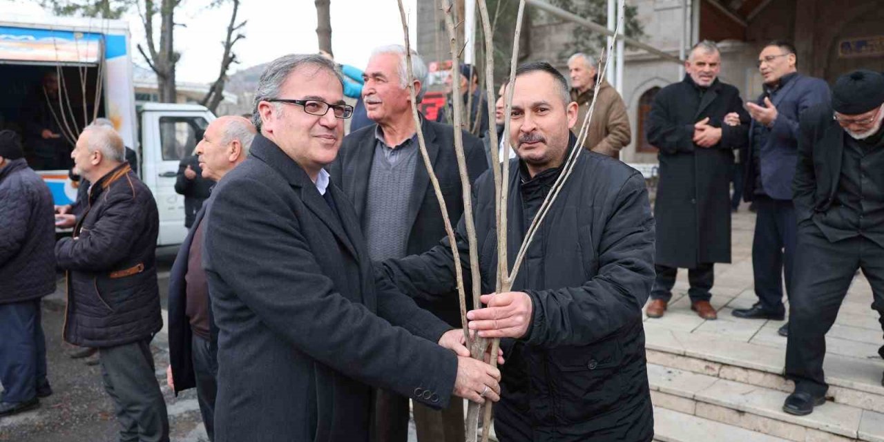 Fidan belediyeden meyve vatandaştan