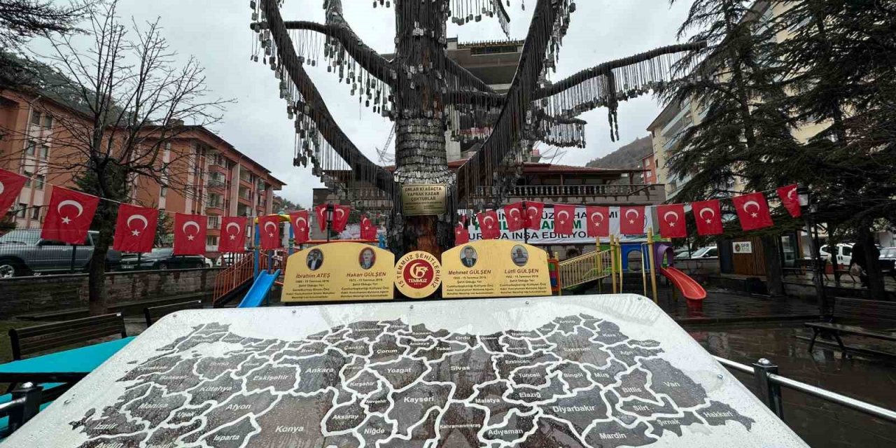 81 ilden toprağın getirildiği Anıt Ağacı’ndaki törenle şehitler anıldı