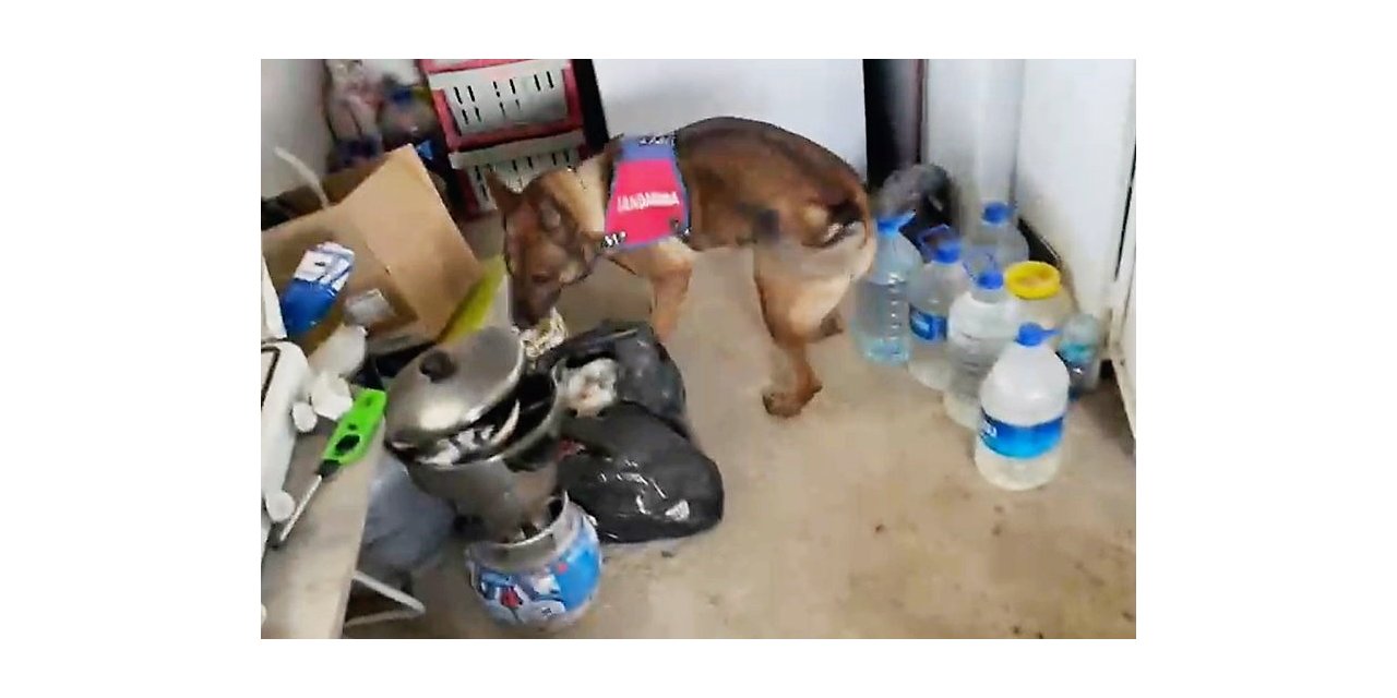 11 kilo esrarı arı kovanı ve sazlıklara gizleyen oğul tutuklandı, baba serbest kaldı