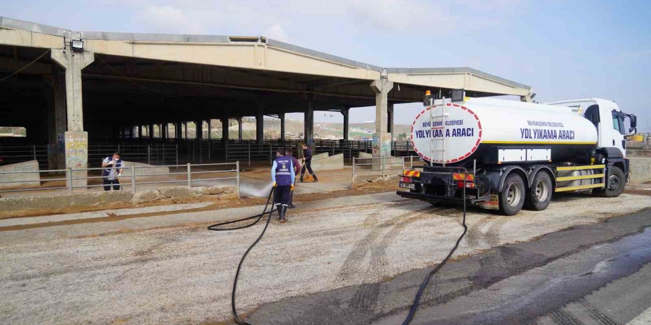 Şap hastalığına karşı canlı hayvan borsası dezenfekte edildi