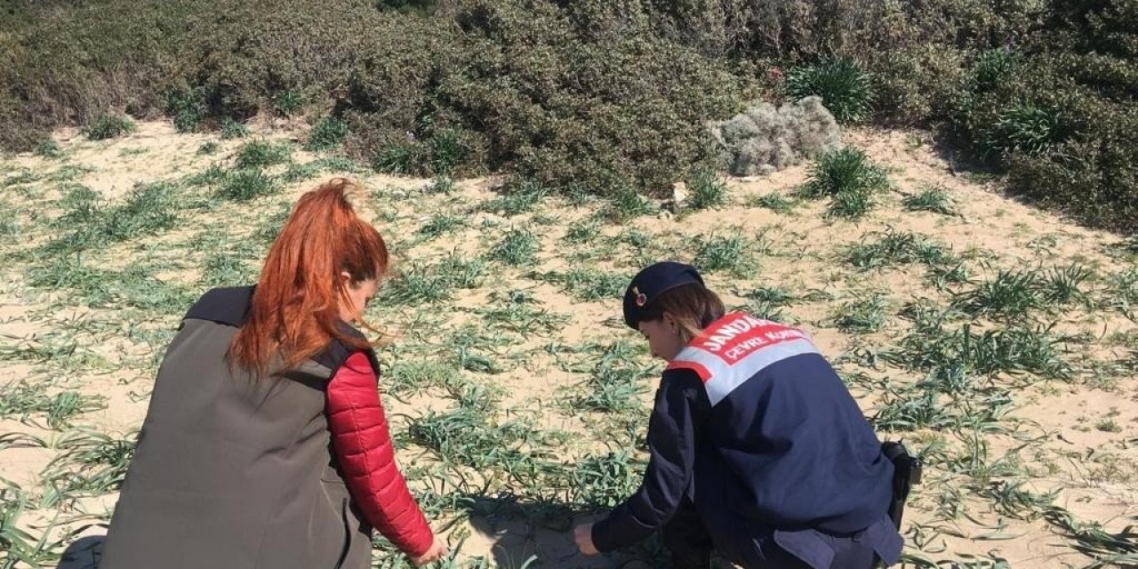 Jandarmadan “endemik tür” devriyesi