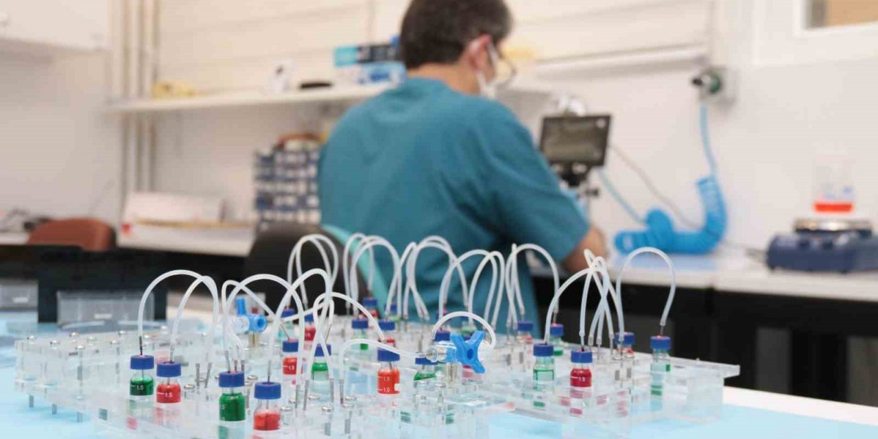 Canlı deneğe ihtiyaç duymadan tedavi geliştiriyorlar