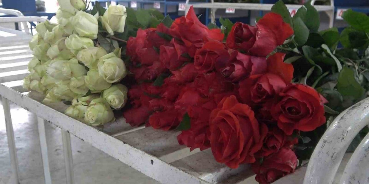 Yalova’daki süs bitkileri ihracatında yüzde 90 artış