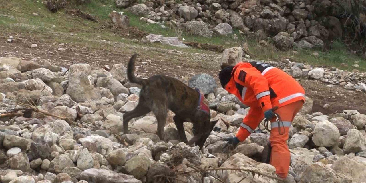 1,5 yaşındaki Zeynep hassas burunlu köpek ile aranıyor