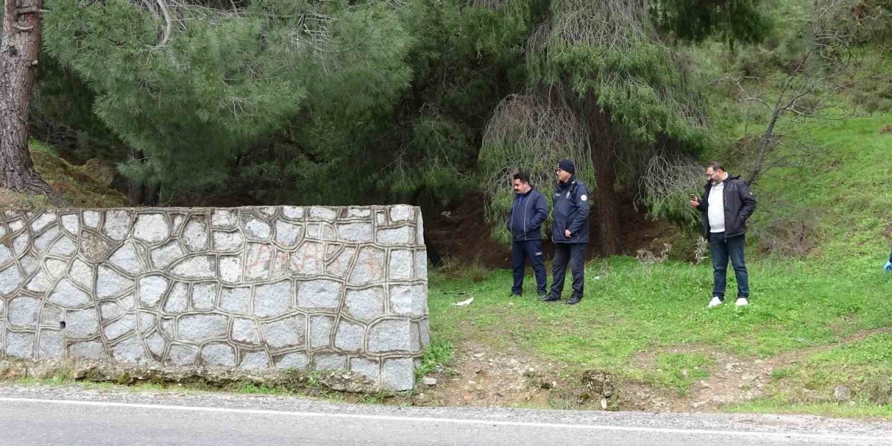 Evsiz adam ormanlık alanda ölü bulundu