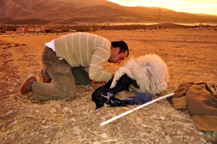 Günbatımında doğum