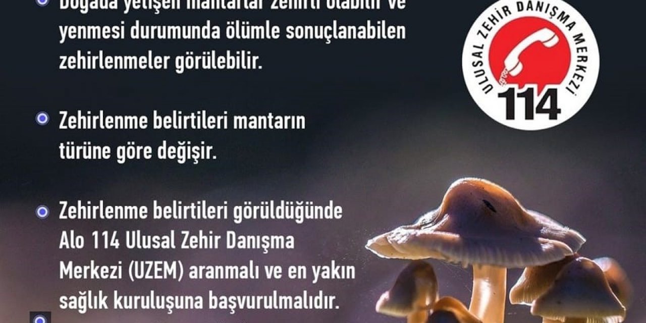 Karacasu’da türü bilinmeyen mantarların satışı yasaklandı