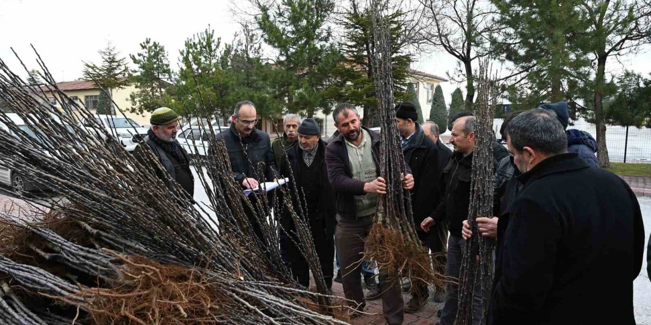Başkan Altay: “Bu yıl 115 bin fidanı çiftçilerimizle buluşturacağız”