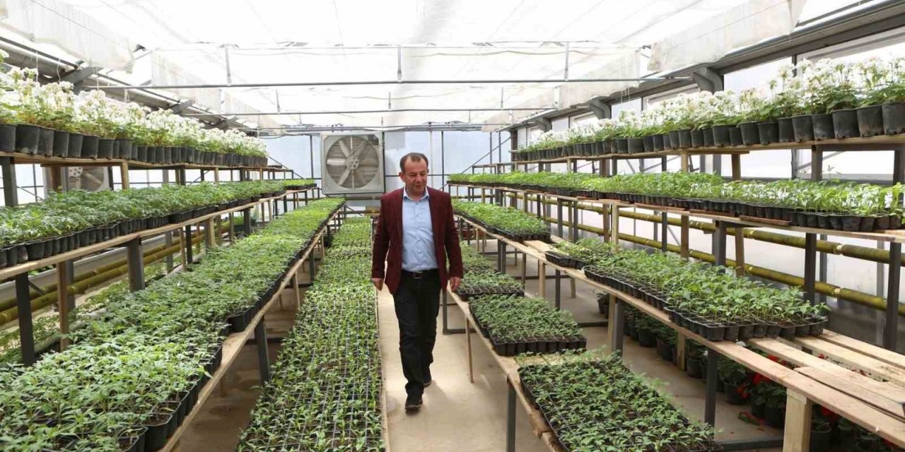 Ziyaret eden herkese ücretsiz dağıtılacak