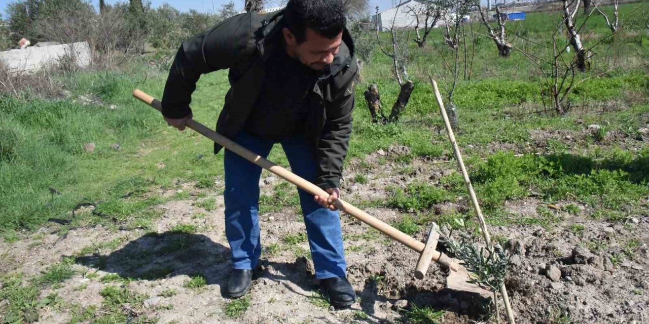 Fidanlar Yunusemre’de toprakla buluşuyor