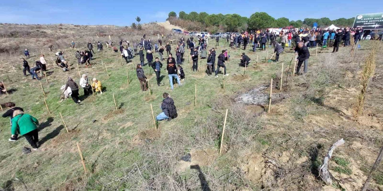 Deprem şehitleri için 30 bin fidan toprakla buluşuyor