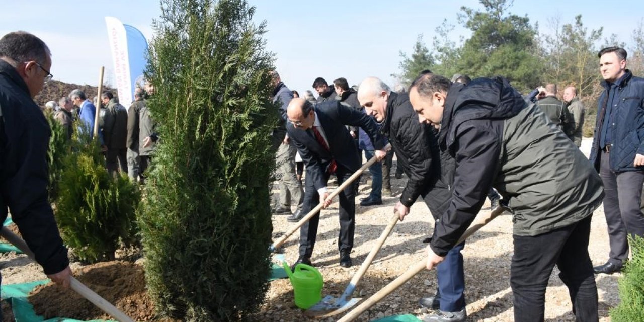 Depremde hayatını kaybeden vatandaşların anısına Bursa’da 8 bin fidan dikildi