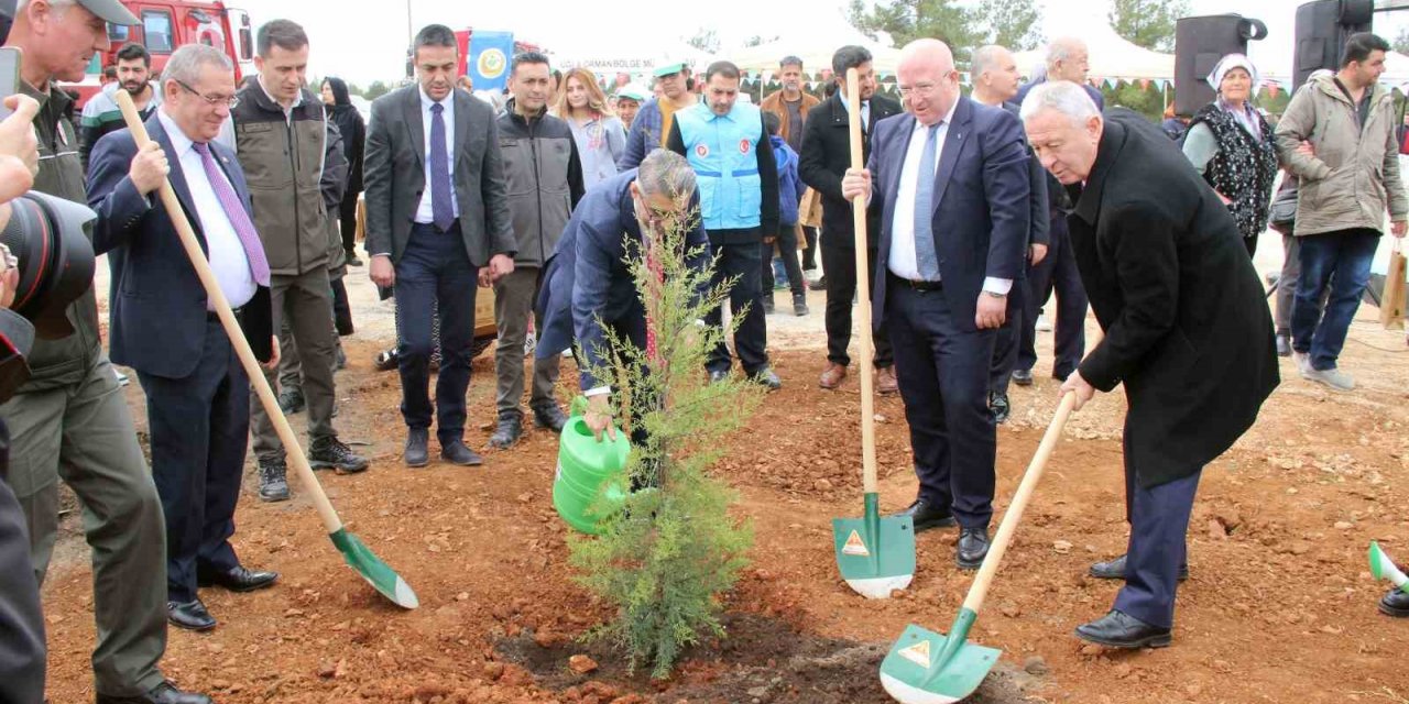 2 bin fidan toprakla buluştu