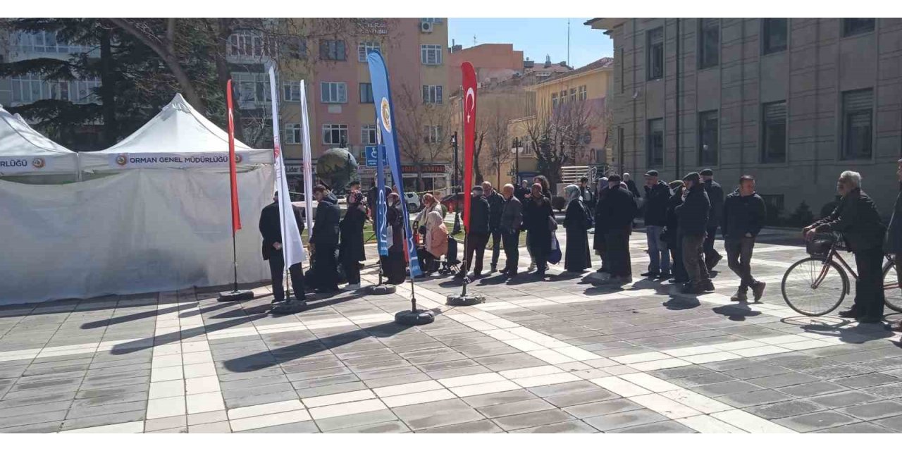 Valilikten vatandaşlara fidan dağıtımı