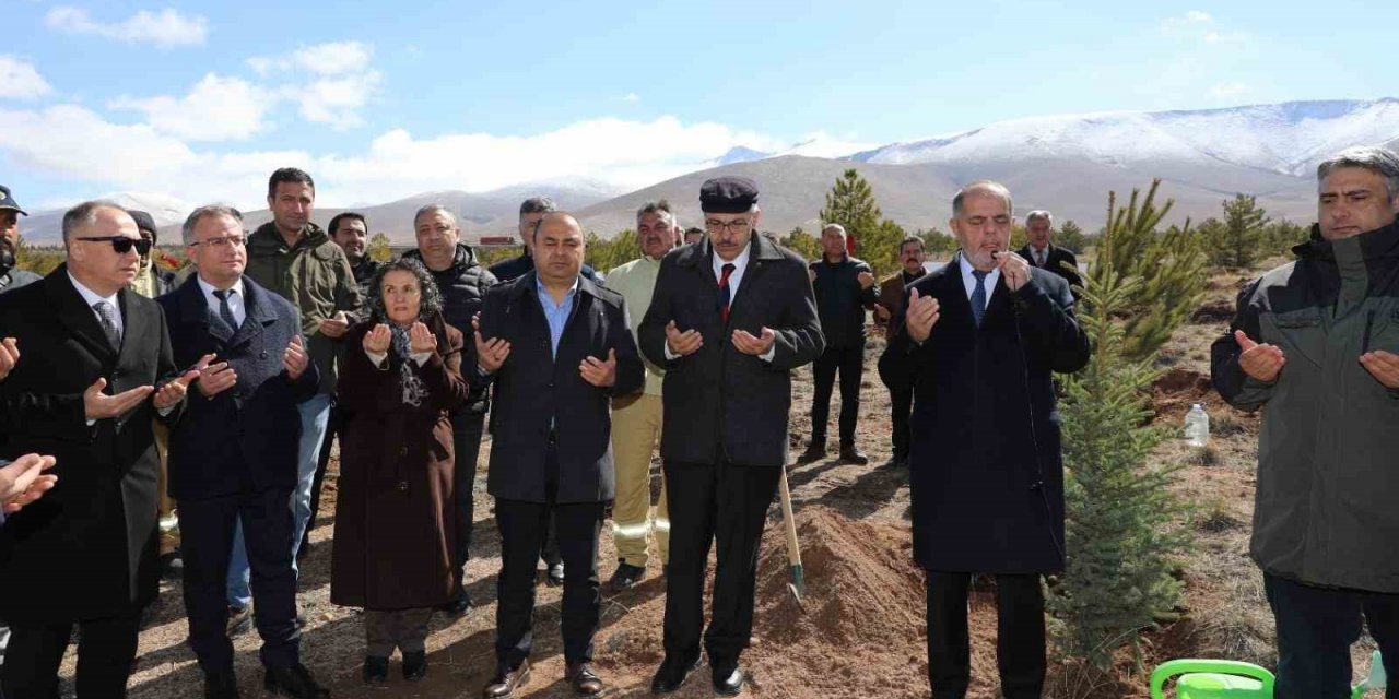 Depremzedeler için orman oluşturuldu