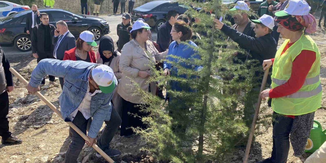Bartın’da fidanlar, deprem şehitleri için toprakla buluşturuldu