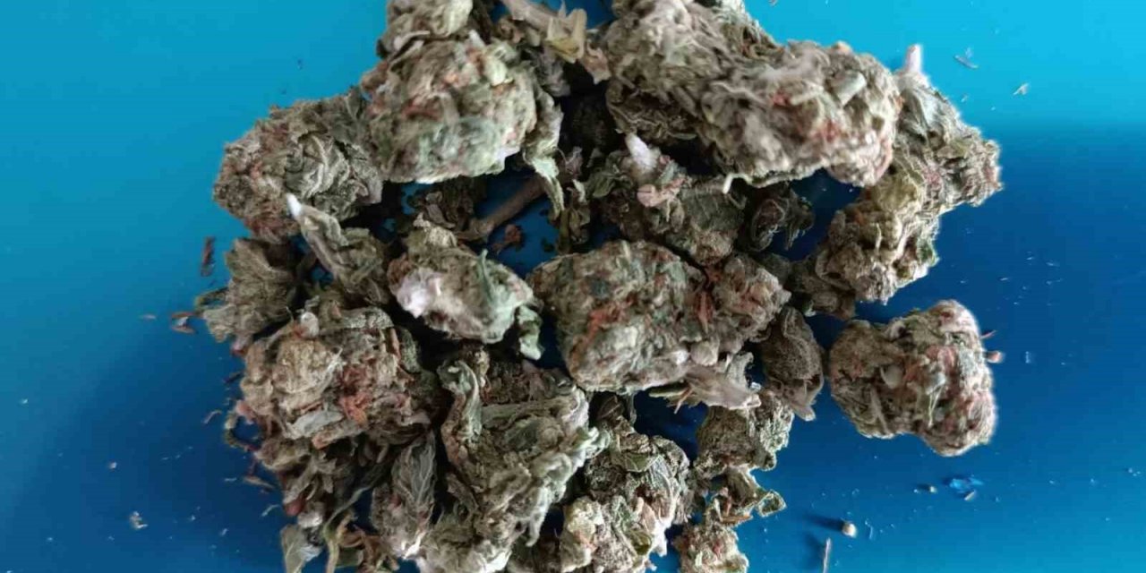 Söke’de uyuşturucu operasyonu