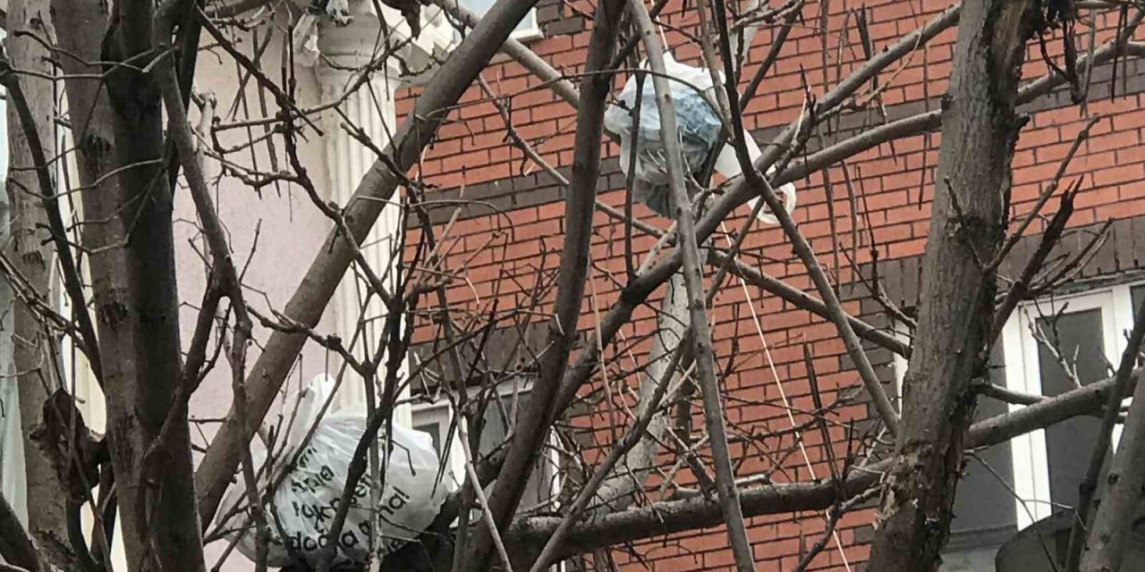 Bu ağacın meyvesi çöp poşetleri