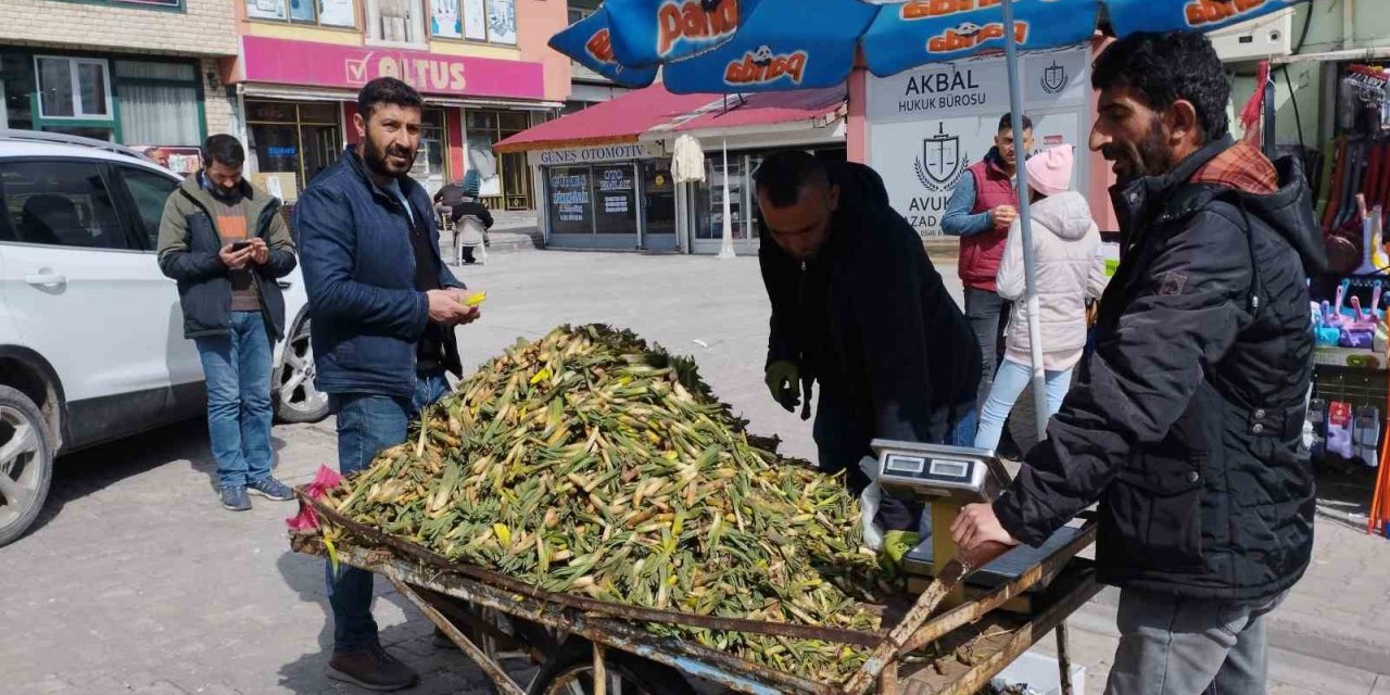 Gülbahar bitkisi tezgâhlarda yerini aldı