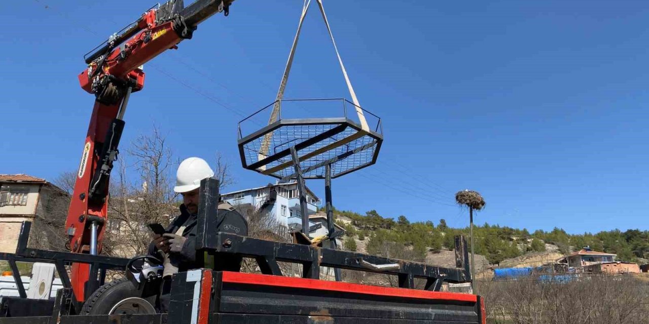 Leylek ölümlerini azaltmak için elektrik direklerine özel yuvalar taktılar