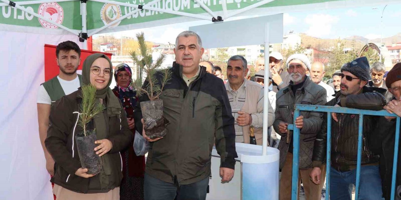 Orman haftası dolayısıyla ücretsiz fidan dağıtımı yapıldı