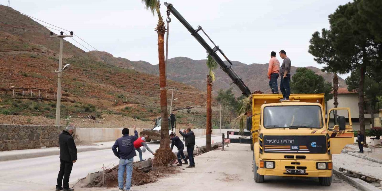 Marmaris’te palmiyeler toprakla buluştu