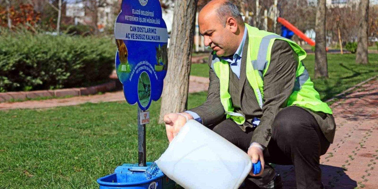 Elazığ Belediyesi, Ramazan ayı öncesi sokak hayvanlarını unutmadı