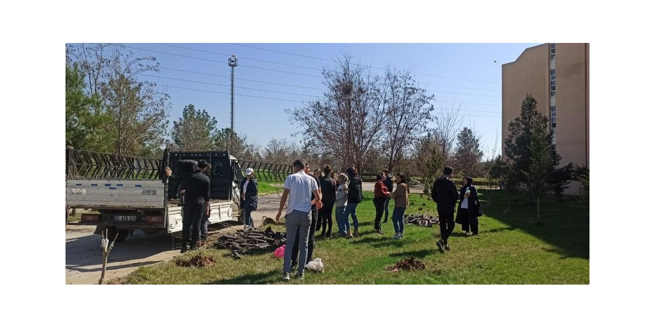 Dicle Üniversitesi, hayatını kaybeden personel ve öğrencileri adına hatıra ormanı oluşturdu
