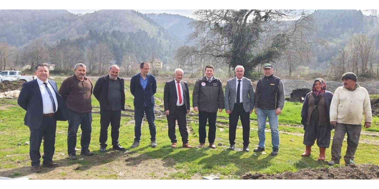 Alaplı’da ’Karaçatlak’ üzümünün üretimi yaygınlaşacak