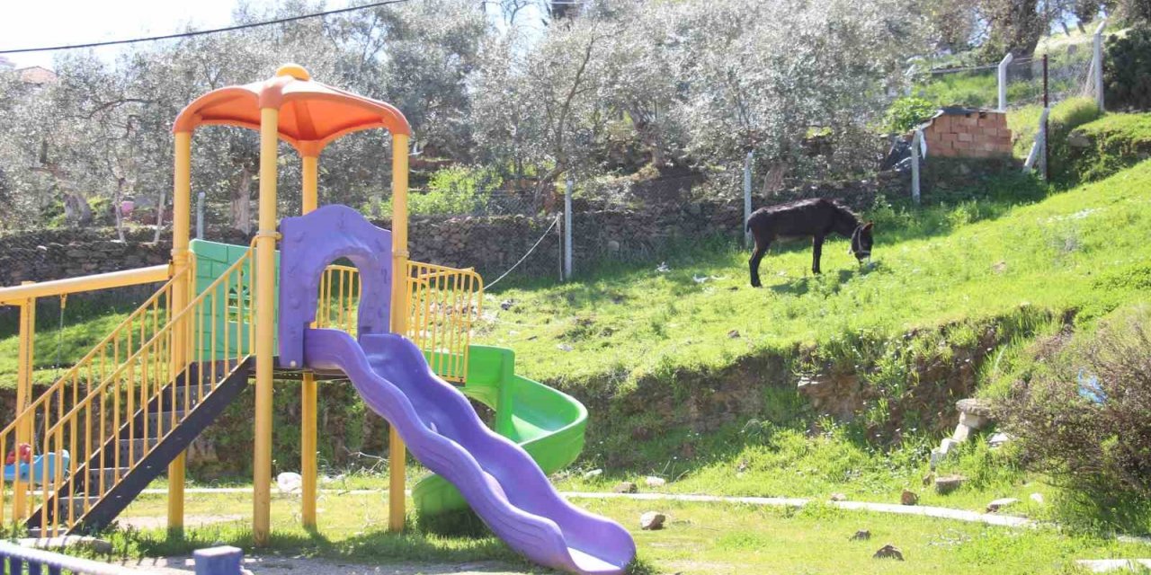 Çocukların yokluğunda parklar eşeklere kaldı
