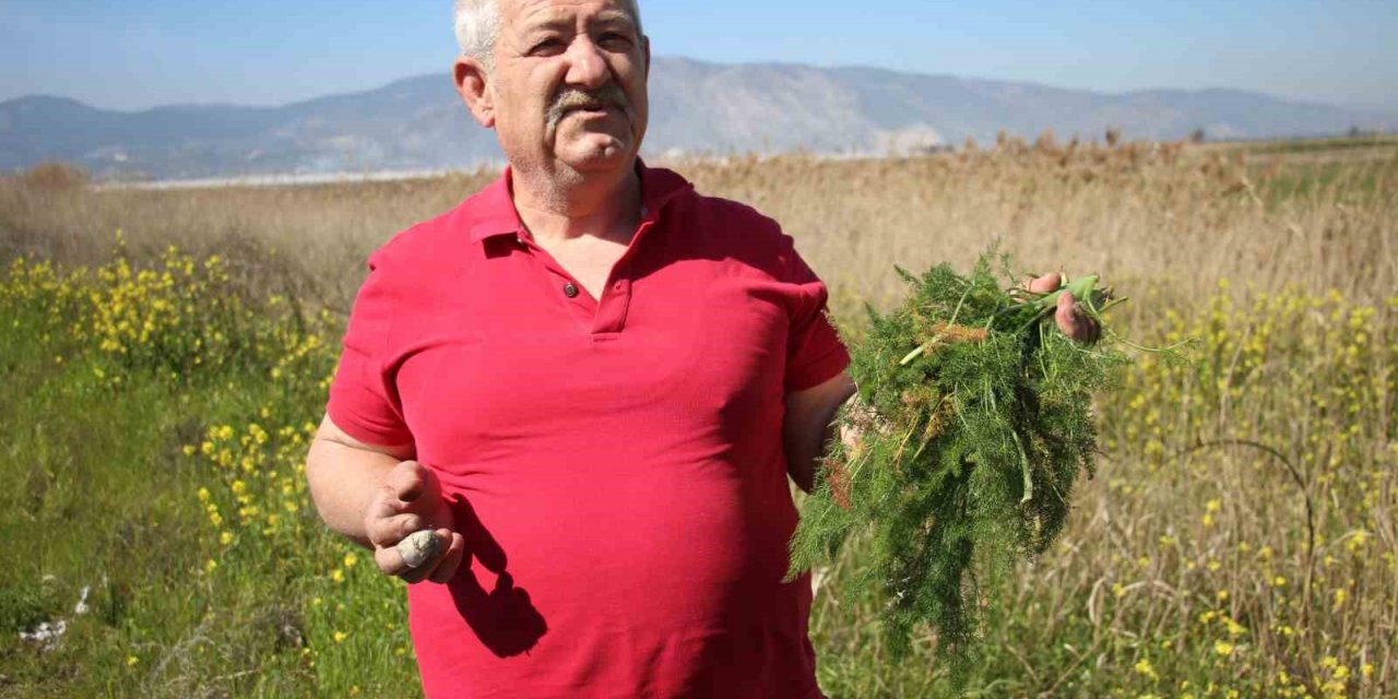 Yol kenarından topladığı otlardan para kazanıyor