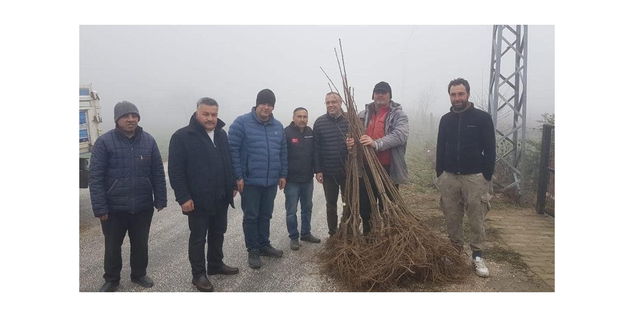 Atıl alanlar kestanelerle dolacak