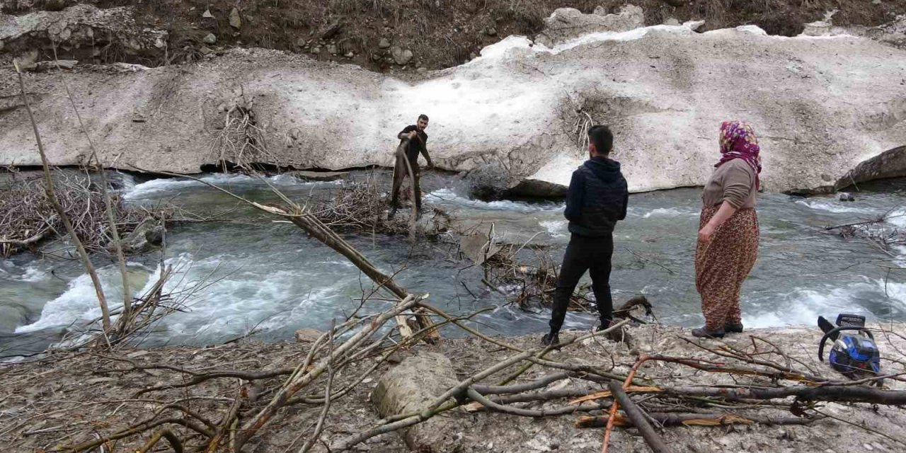 İnen çığın verdiği zarar bir ay sonra ortaya çıktı