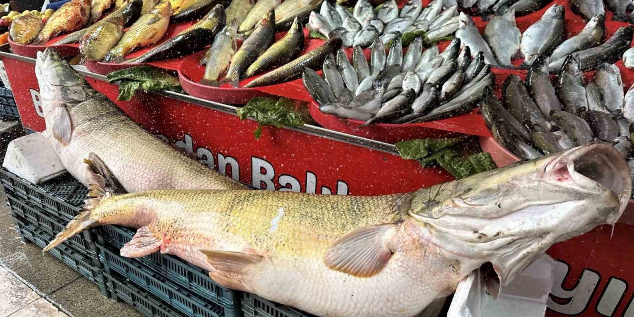 Balıkçı tezgahlarında çeşit arttı, fiyat düştü