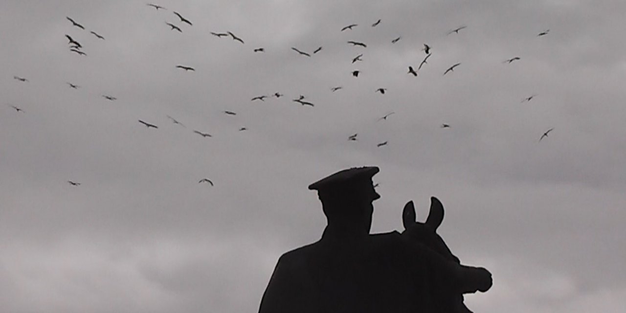 Leylekleri görenler cep telefonuna sarıldı