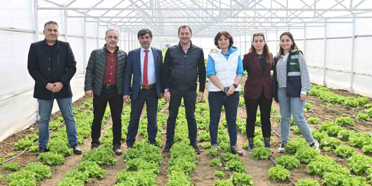 Tarım Vadisi yeşilleniyor