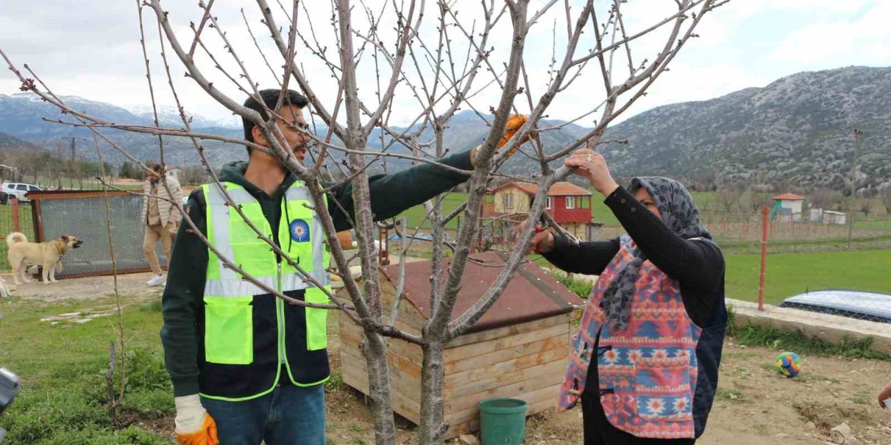 Akseki ve Demre’de budama ve aşılama eğitimi verildi