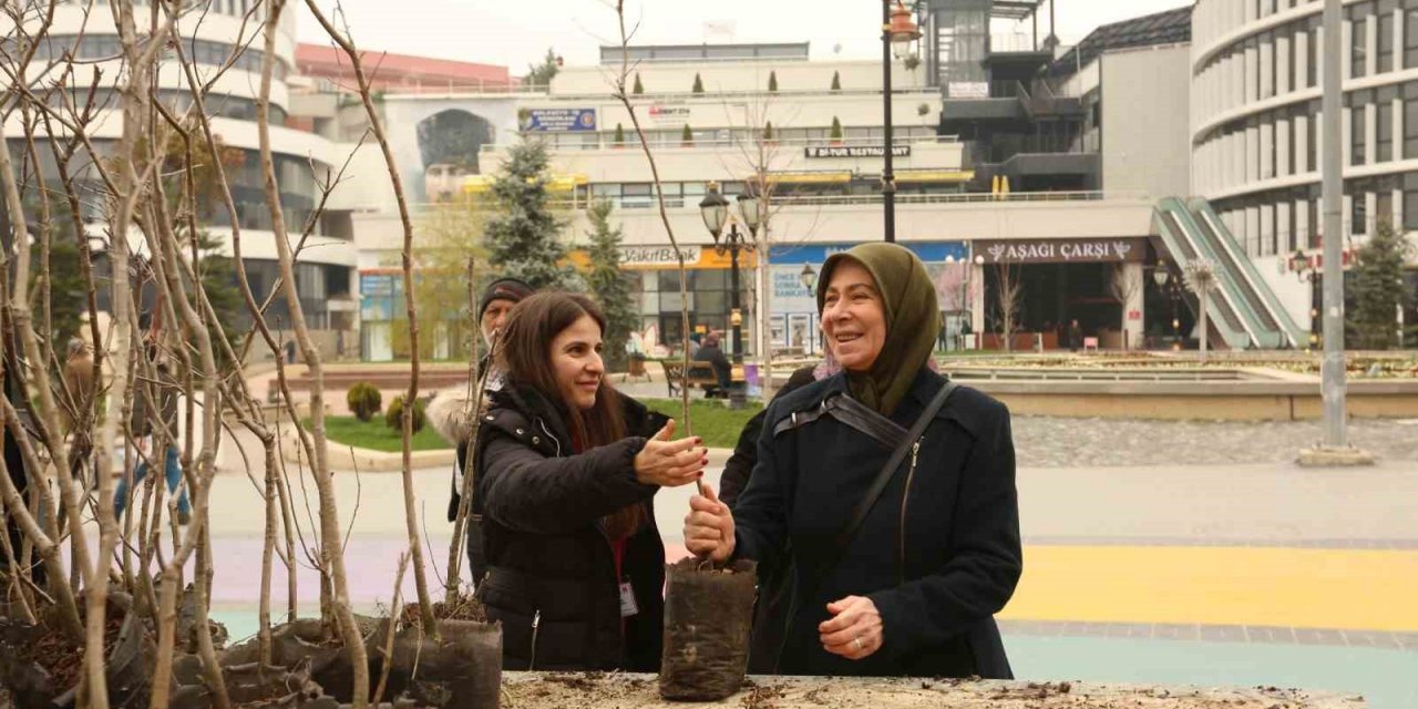 Bolu’da 4 bin adet fidan ücretsiz dağıtıldı