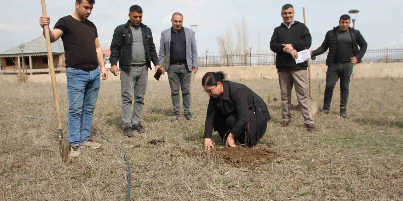 Cumhuriyet savcıları fidan dikti