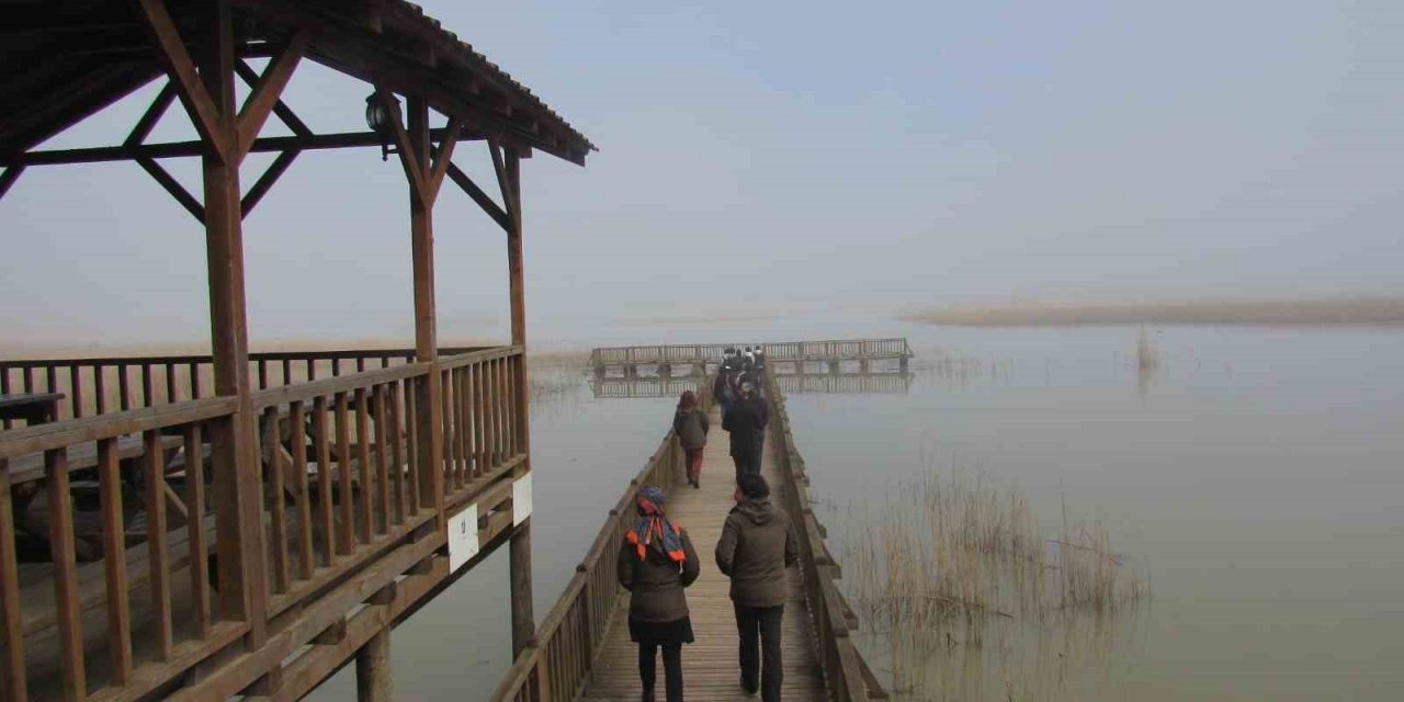 Öğrenciler Efteni Gölünde kuşları gözlemledi