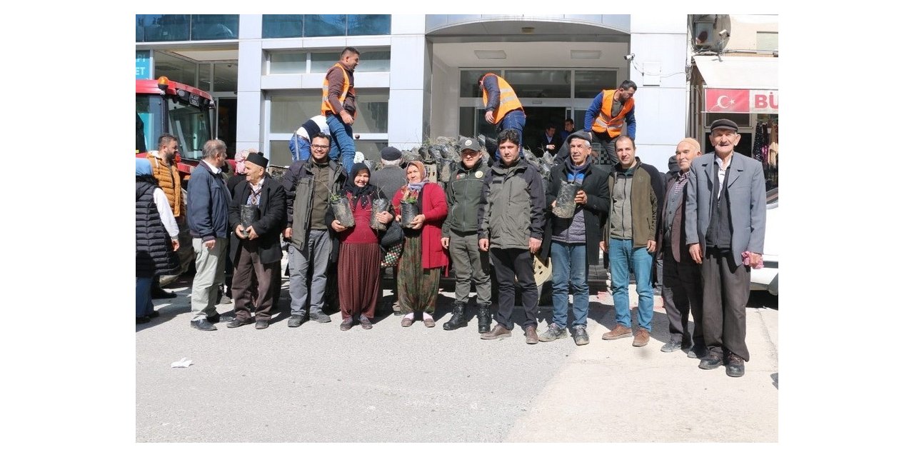 Bin adet Ihlamur fidanı dağıtıldı