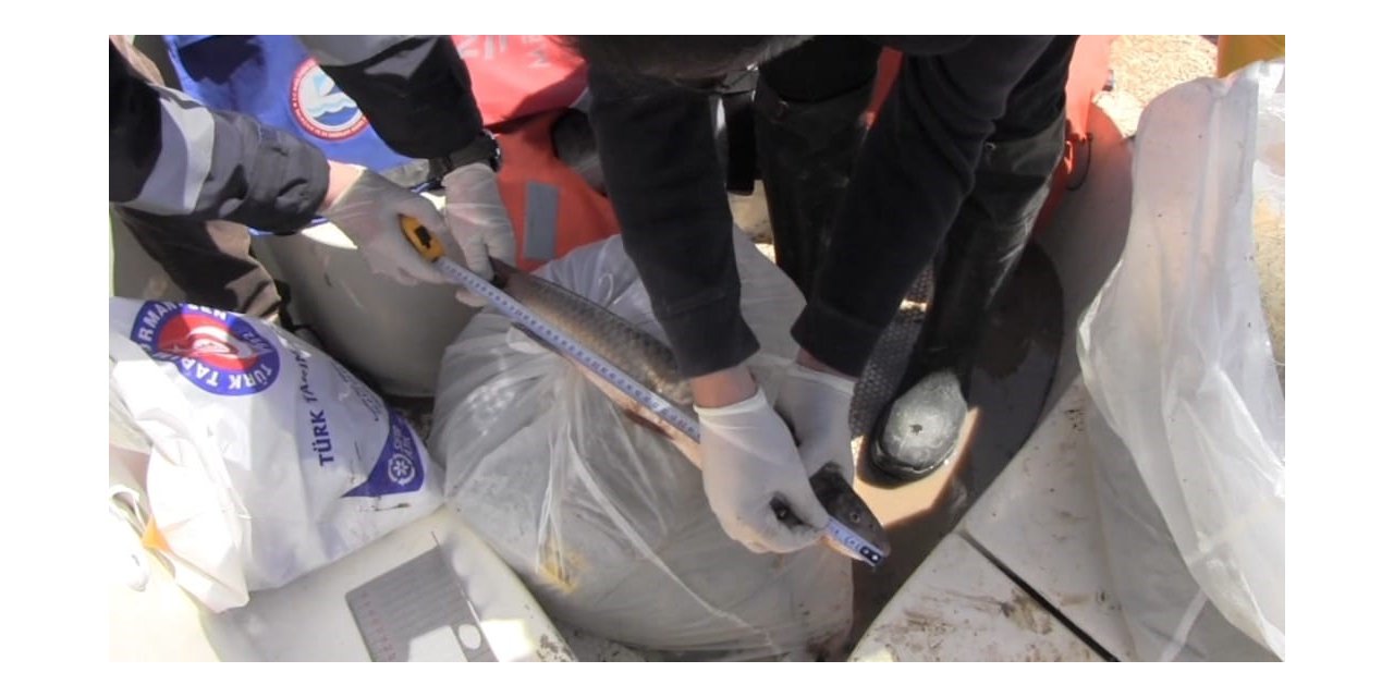 Prof. Dr. Veysel Eroğlu Ilısu Barajı’nda balık stok verim tahmin çalışmaları yapıldı