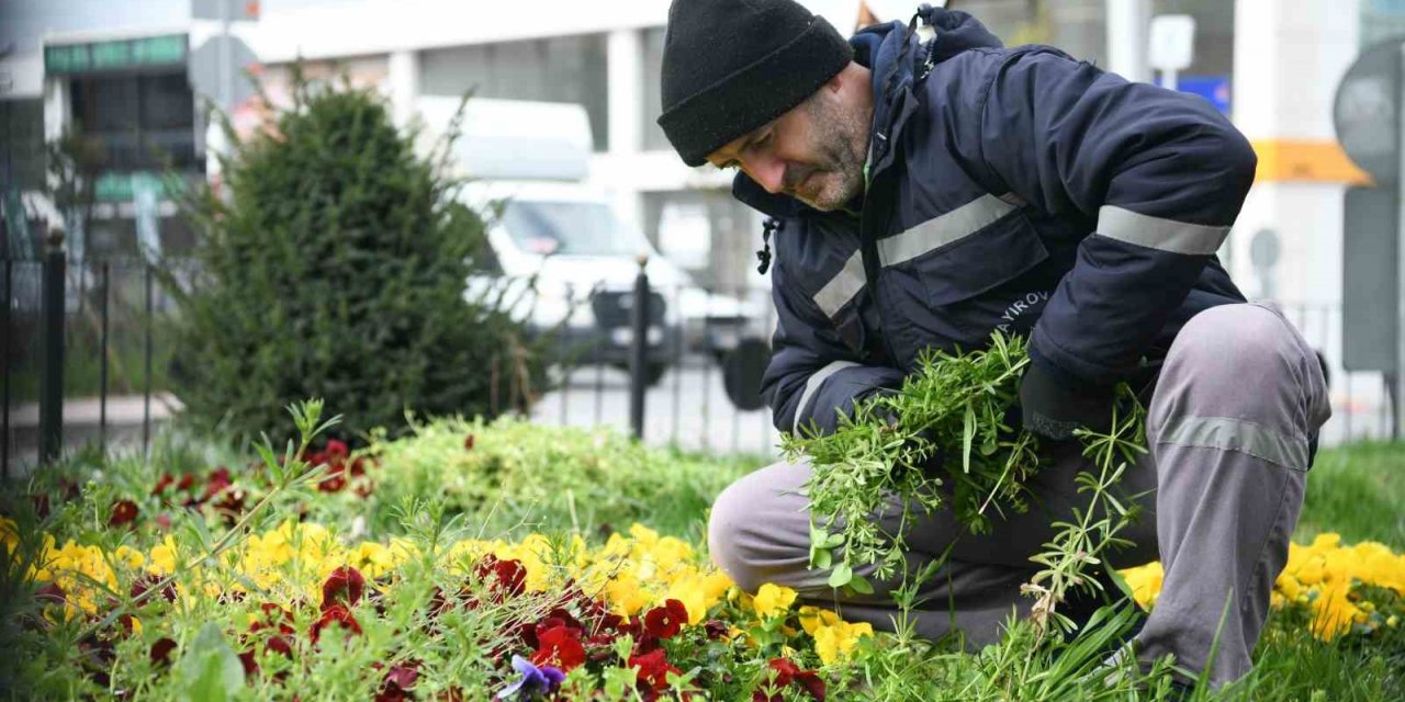 Çayırova’da bahar hazırlığı
