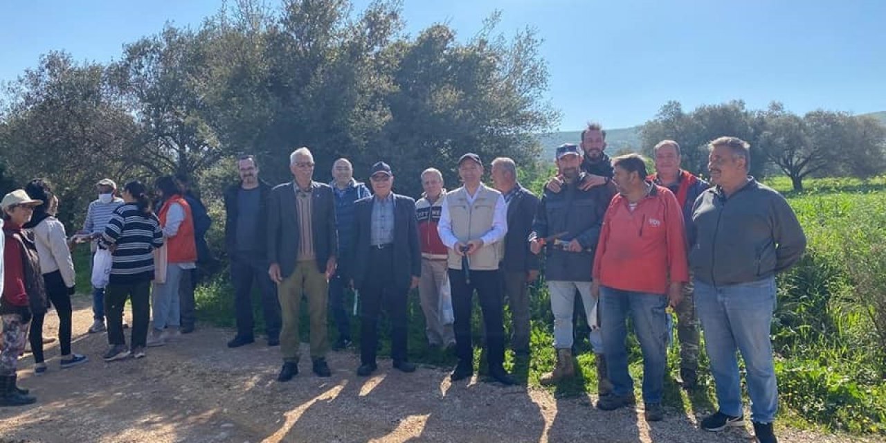 Zeytin budamayı uygulamalı öğrendiler