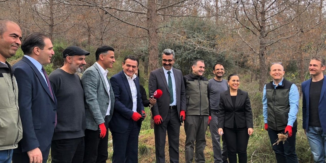 Çam kese böceklerine karşı predatör böcekler ormanlık alanlara bırakıldı