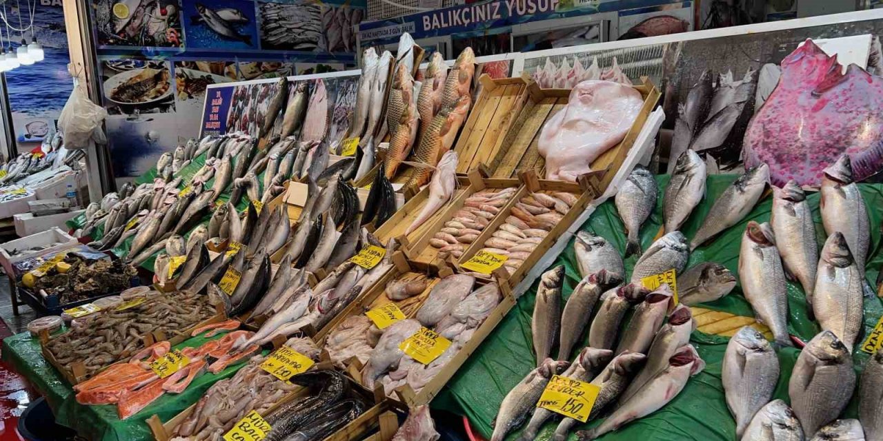 Balıkçılardan uyarı: “Balık yemek isteyen vatandaşlar son bir ayı iyi değerlendirsinler”