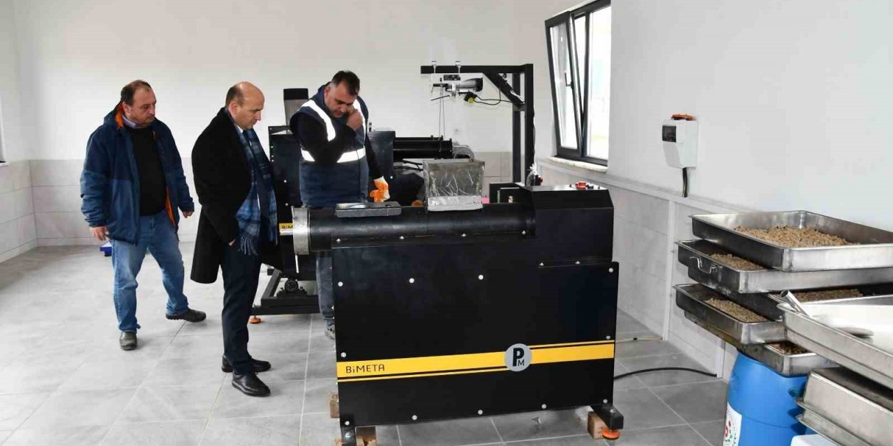 Yalova Altınova’da atık yemekler yüksek kaliteli mamaya dönüşüyor