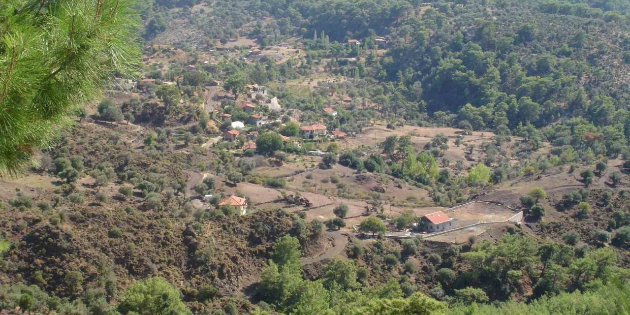 Orman köylüsüne yüzde 70 indirim