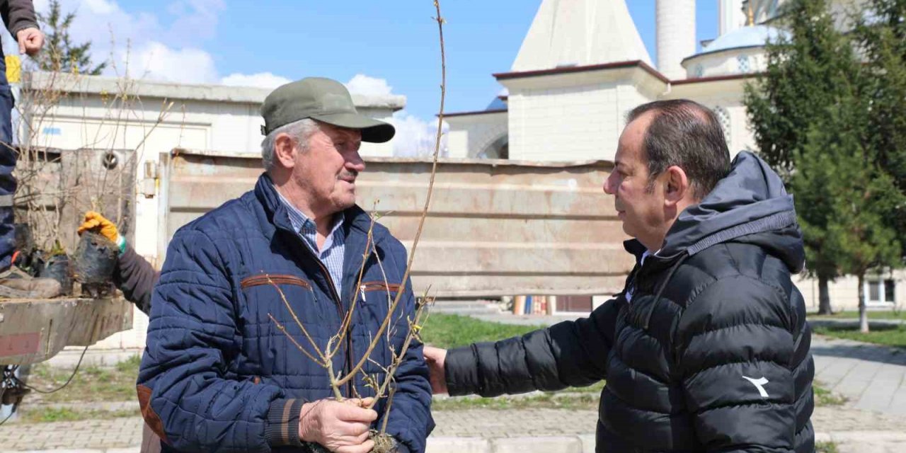 Bolu Belediyesi mahallelerde fidan dağıtıyor
